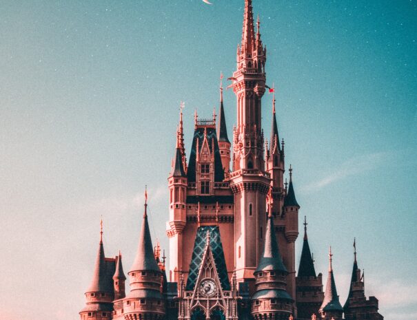 disneyworld castle